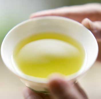 緑茶カテキンが脂肪燃焼を亢進　褐色脂肪の活性を高める